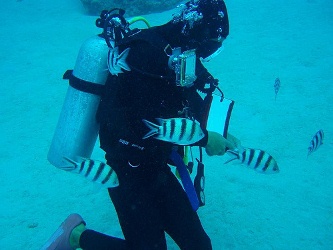 older adults are diving into scuba