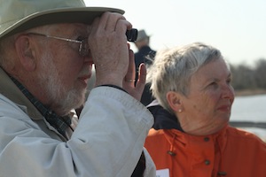 kendal northern ohio birdwatching