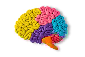 brain health news