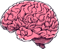 brain-img