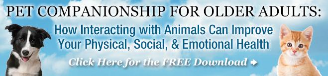 Pet Companionship With Older Adults Guide