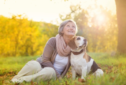 Choosing a Pet for Older Adults: 5 Tips